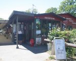 Sandvig-camping-bornholm_14.JPG